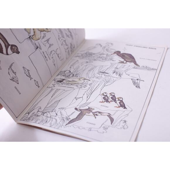 Polar Animals, Sticker Fun, Picture Book, USED, Golden, Learning ~ 250811-WH 501 - Picture 2 of 4